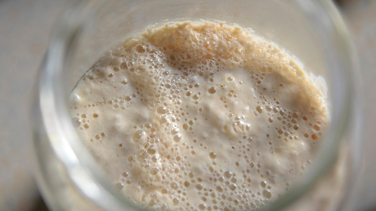 Kwas foliowy przed ciążą