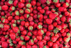 Grecki problem na polskim targu. Polscy sadownicy się cieszą