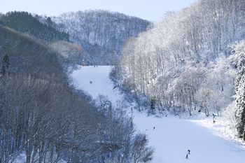 Tragedia w ośrodku narciarskim. Ośmiolatka zginęła pod skuterem śnieżnym