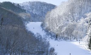 Tragedia w ośrodku narciarskim. Ośmiolatka zginęła pod skuterem śnieżnym