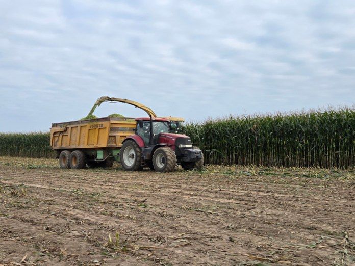 Rusza nabór na inwestycje w konkurencyjność gospodarstw rolnych