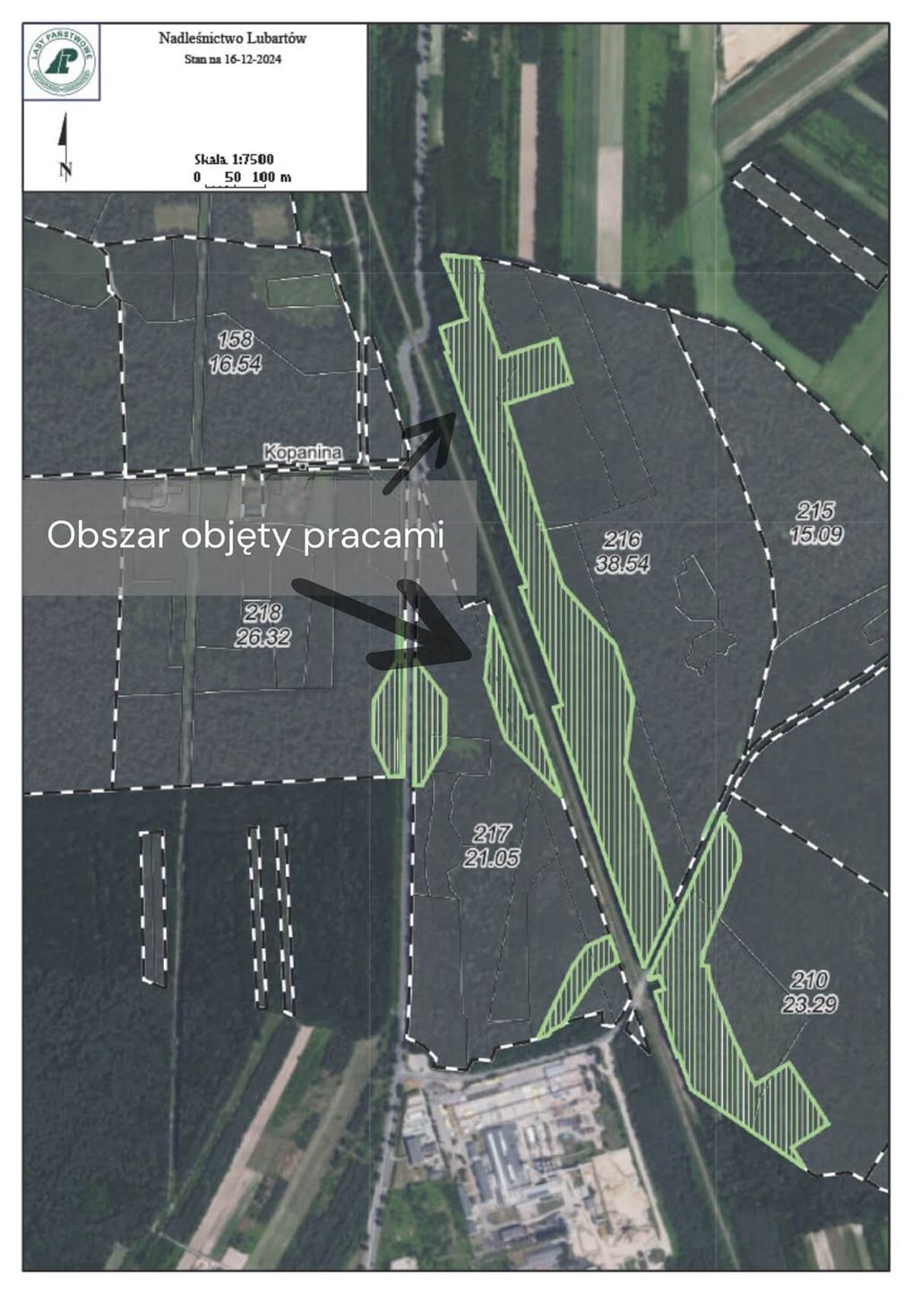 Wycinka drzew pod budowę S19 między Lublinem a Lubartowem - MAPA