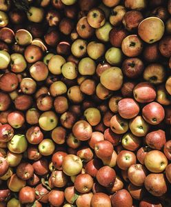 Polska jabłkowym potentatem. Tylko w dwóch krajach jest taniej