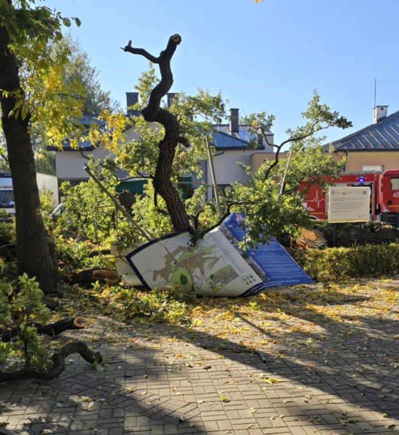 Strażakom udało się uprzątnąć cały teren w 38 minut