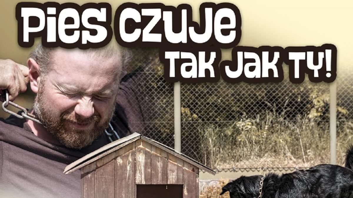 Plakat ostrzegawczy akcja na rzecz zwierząt