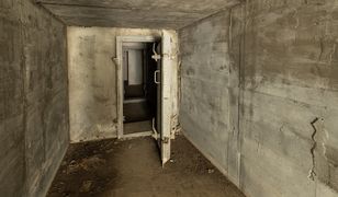 Ujawniono plan MSWiA. Priorytetem schrony na wschodzie