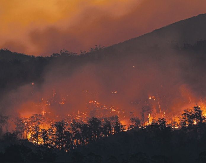 "Sorry, nie taki mamy klimat". Apel ponad 100 naukowców na rzecz ochrony klimatu