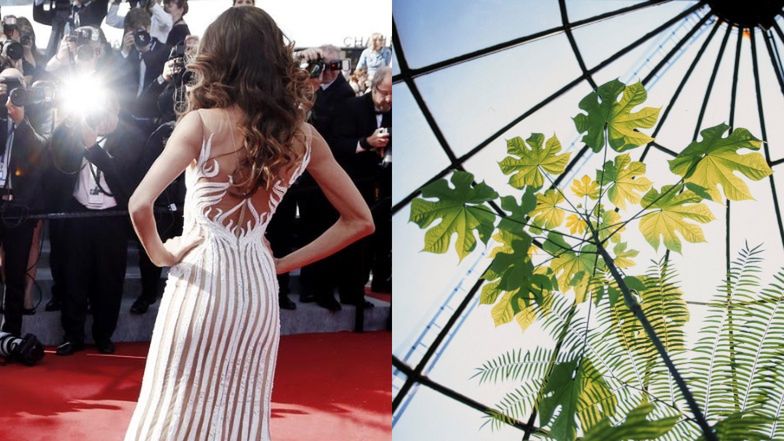 Dziennikarka ujawnia kulisy rozmowy z celebrytką