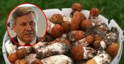 Janusz Piechociński poszedł na grzyby. "Firmy mogą mieć problem"