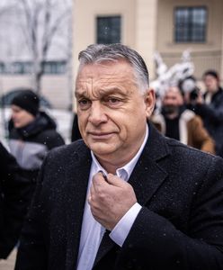 Wybory na Węgrzech. Przeliczono 98 proc. głosów. Wyniki