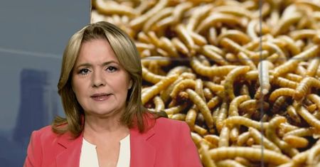 TV Republika straszy na wizji. Holecka znów się popisała