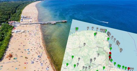 Sinice w Bałtyku. Złe wiadomości dla plażowiczów. Zamknięte pierwsze kąpieliska