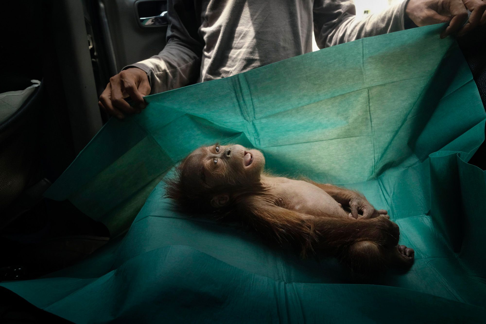 World Press Photo 2020: Yasuyoshi Chiba Fotografem Roku 2020 90