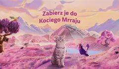 "Koci Mrraj" - rusza polska odsłona kampanii Whiskas