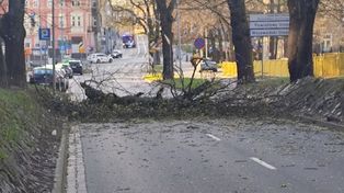 Silny wiatr nad Zachodniopomorskiem. Ponad 100 interwencji strażaków w ciągu doby