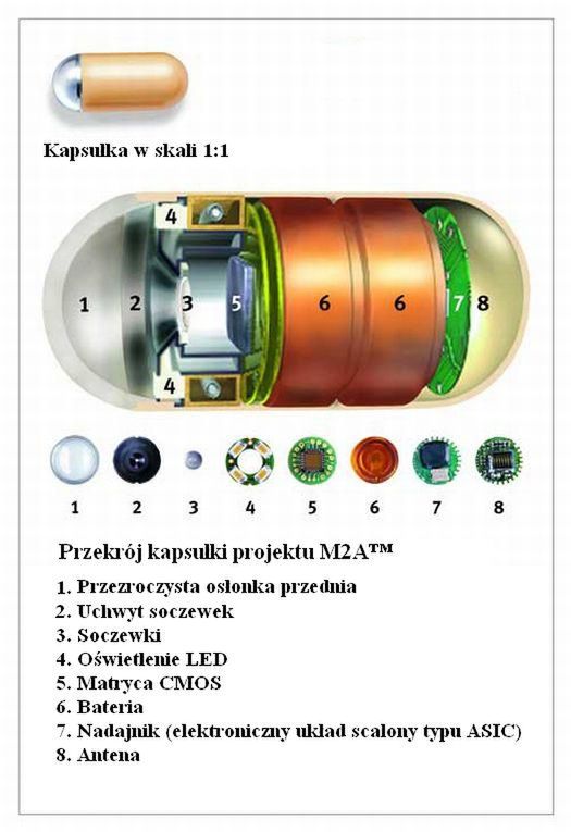 Projekt M2A™- wideopodróż przez cały przewód pokarmowy [wideo] 2