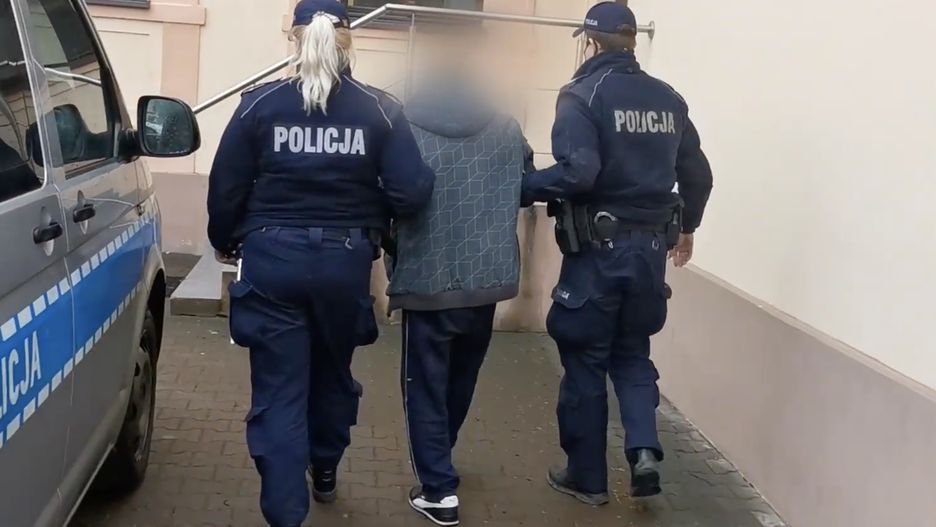 policja
