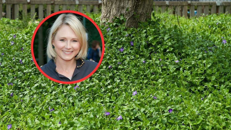 Maja Popielarska pokazała, co sadzi przy ogrodzeniu