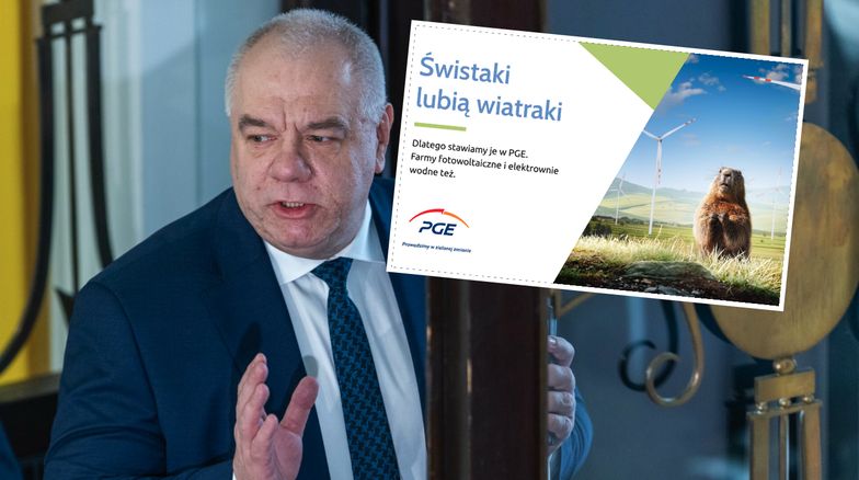 "Konie rozmawiają o atomie". Jacek Sasin nawiązał do reklamy państwowej spółki