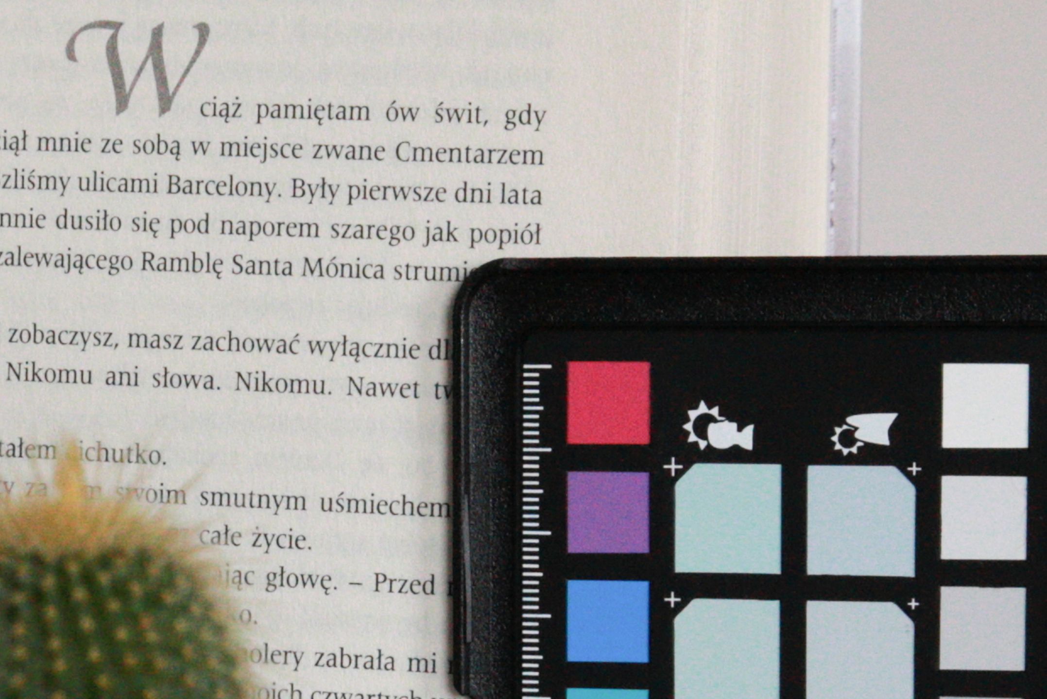 Canon EOS RP - budżetowy aparat wcale nie musi być zły [TEST] 37