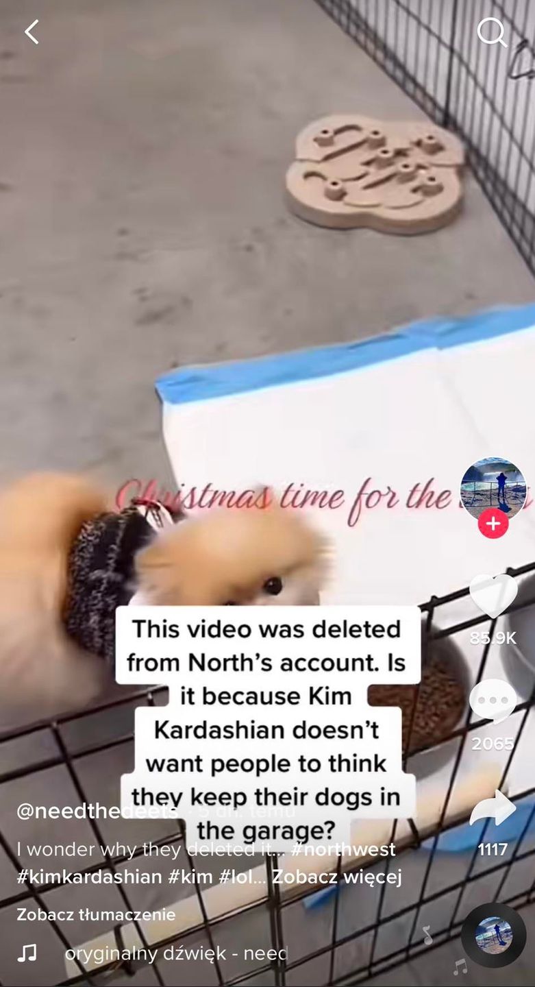 Legowisko psów Kim Kardashian