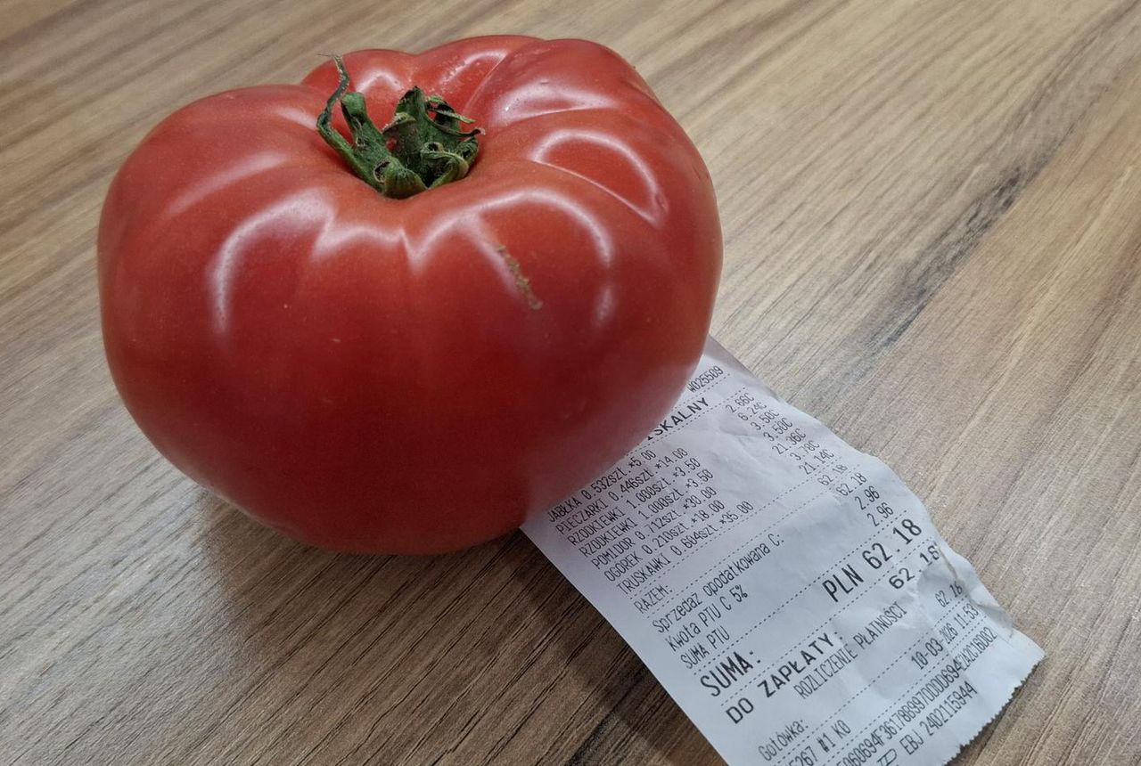 Ile kosztują pomidory w marcu?