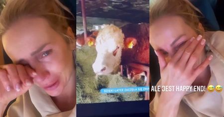 Zalana łzami Agnieszka Woźniak-Starak ubolewa nad losem krowy: "Czy ja jestem jakaś NIENORMALNA?" (FOTO)