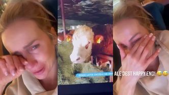 Zalana łzami Agnieszka Woźniak-Starak ubolewa nad losem krowy: "Czy ja jestem jakaś NIENORMALNA?" (FOTO)