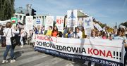 Protest Medyków. Komitet o "NiePorozumieniu" z Ministerstwem Zdrowia
