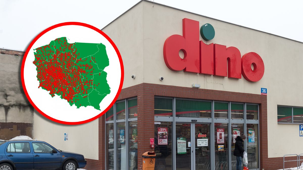 Dino w ciągu roku otworzyło 348 nowych sklepów