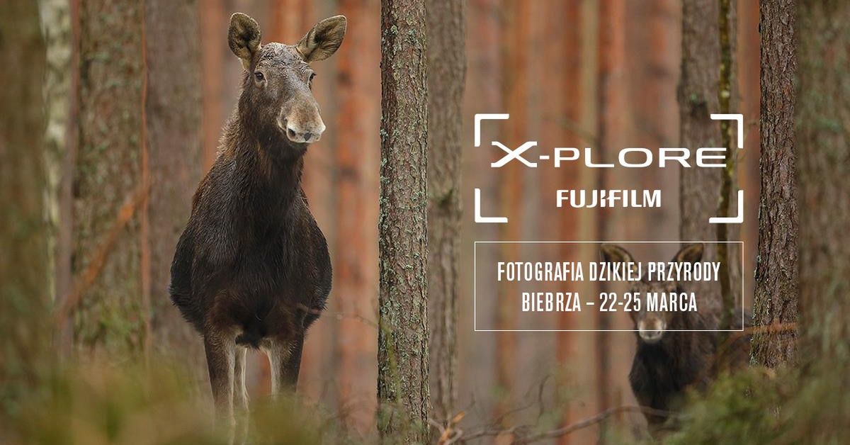 Fujifilm zaprasza na warsztaty fotografii przyrodniczej 2