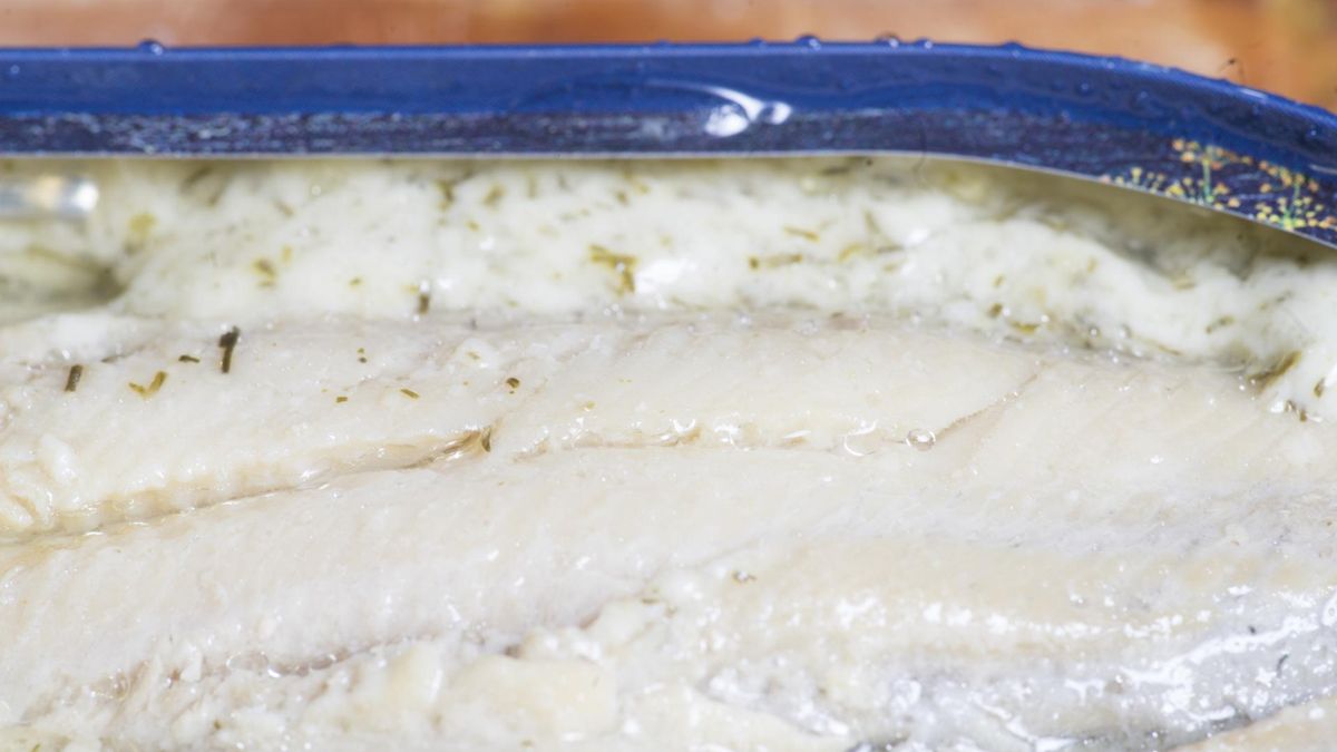 Tłuste ryby morskie zawierają cenne dla mózgu kwasy omega-3