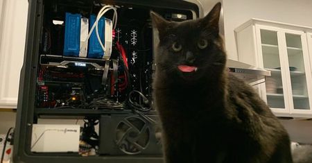 Nvidia planuje kartę Titan RTX - znamy pierwsze szczegóły