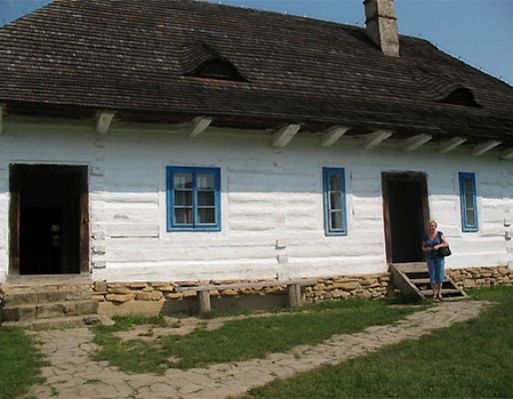 Obraz