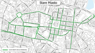 Poznań: Miasto znów przekaże choinki przedsiębiorcom. Jak je zdobyć?