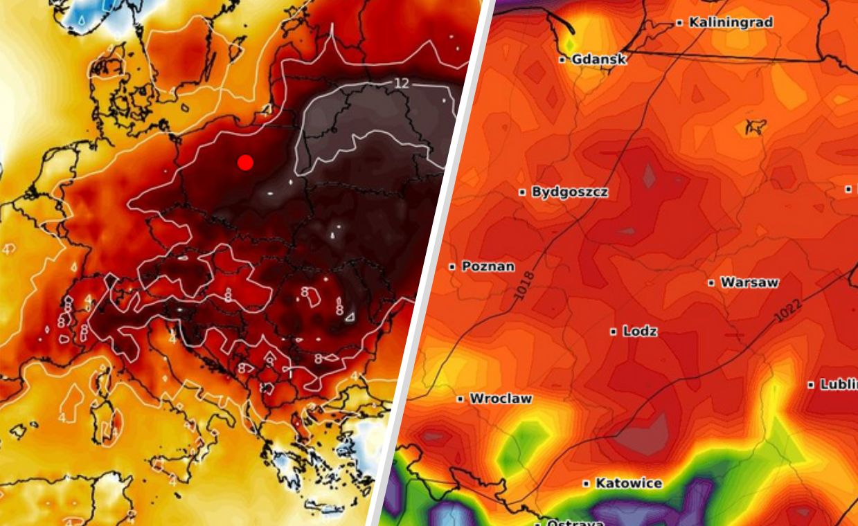 Rekordy ciepła w Polsce. Definitywny koniec zimy?