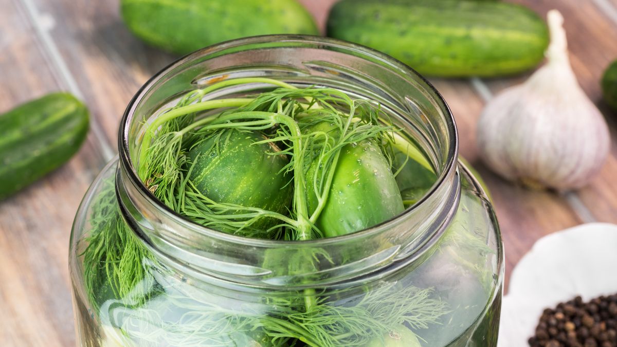 Ogórki konserwowe z koperkiem