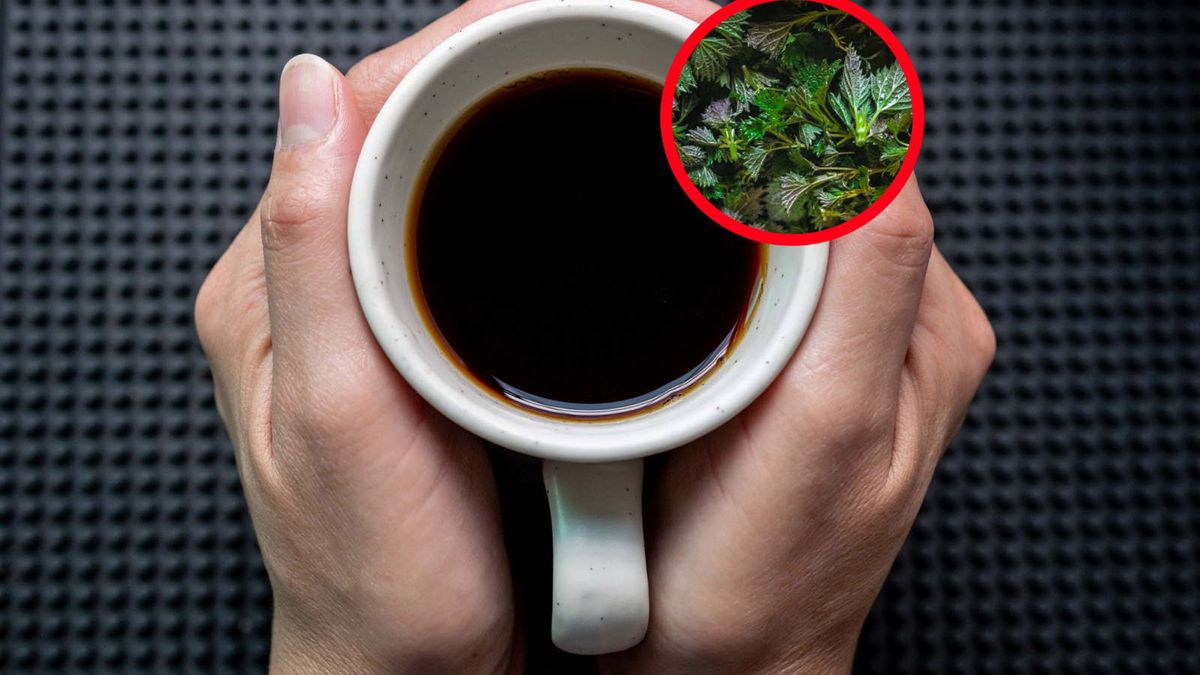 Dodaj do kawy. Przyspiesza wytwarzanie przeciwciał, oczyszcza nerki