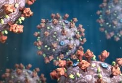 Śląsk. Konieczny wynik testu lub potwierdzenie o szczepieniu, jak nie to kwarantanna