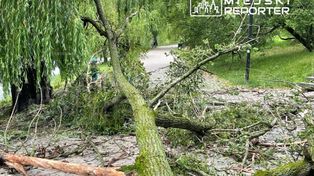 Burze nad Mazowszem. Strażacy interweniowali ponad sto razy