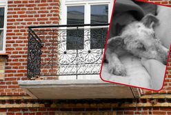 Muniek nie żyje. Kobieta wyrzuciła psa z balkonu. Jest wyrok