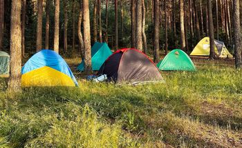 Namiot nad Bałtykiem luksusem? Turyści płacą nawet za psa i prysznic