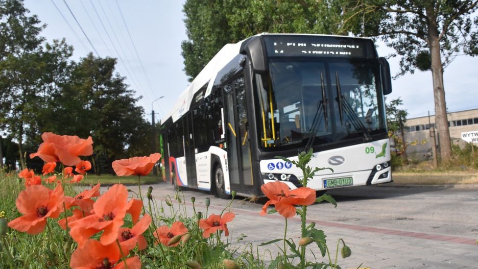 Bezpłatna komunikacja miejska tylko dla mieszkańców Malborka?