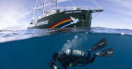 Operacja Satanik. Francuskie siły specjalne zatapiają "Rainbow Warrior", statek Greenpeace’u