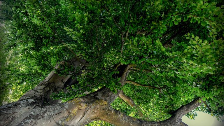 Jeden z finaliuk Senior z Biesiekierz, woj. zachodniopomorskie) 