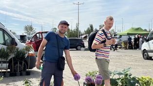 Ostatnia majowa giełda w Sandomierzu. Sezon na kwiaty w pełni, łowcy okazji ruszyli na zakupy