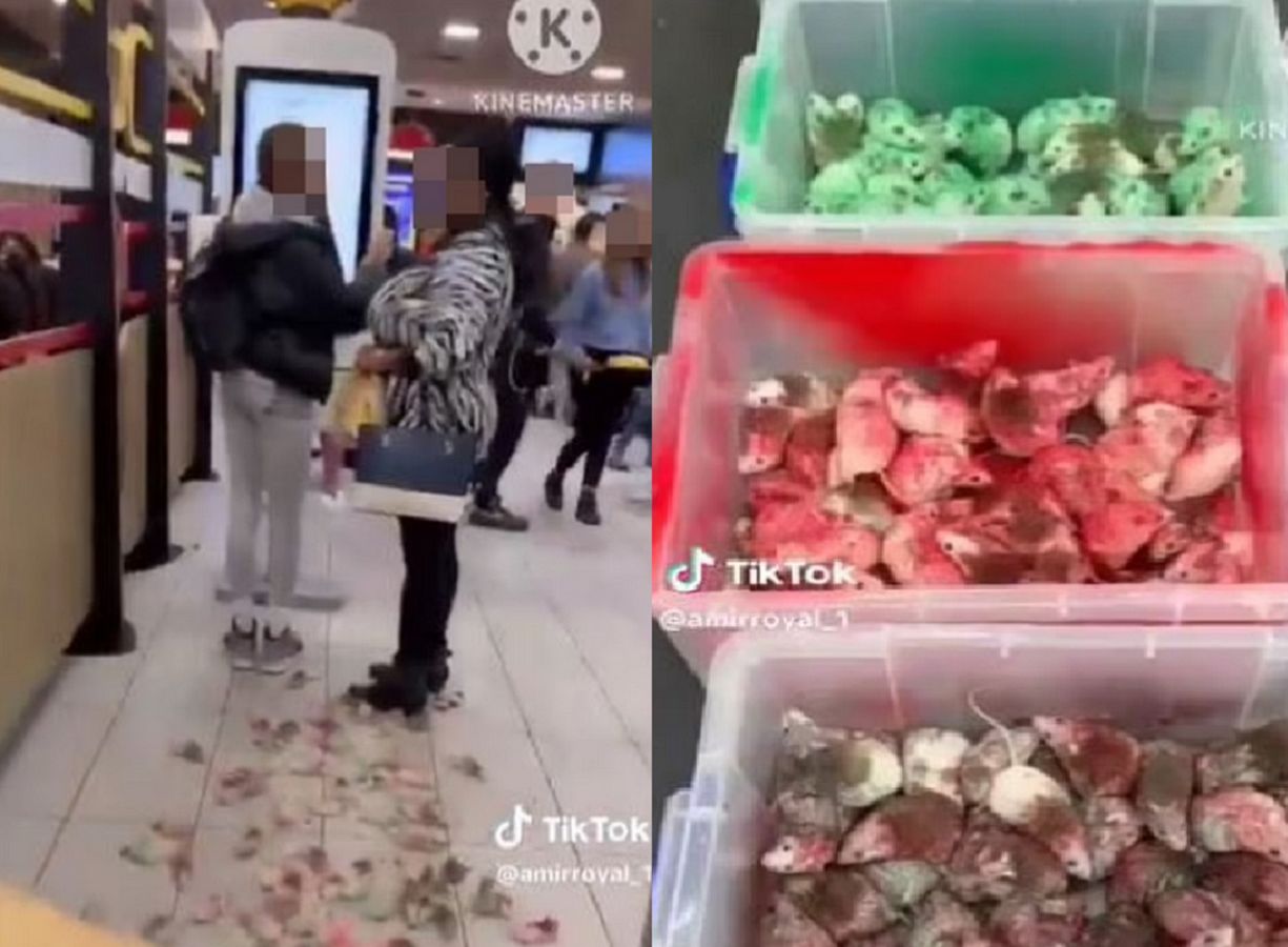 Palestyński aktywista zostawił myszy w restauracji.