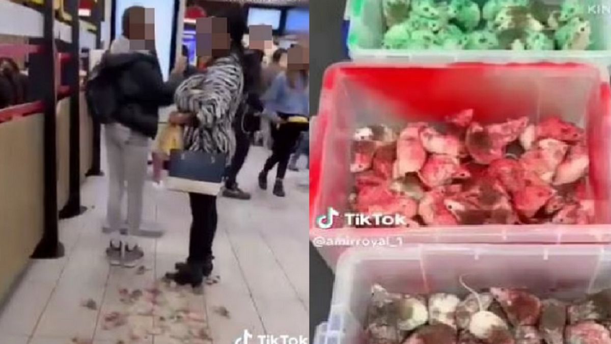 Palestyński aktywista zostawił myszy w restauracji.