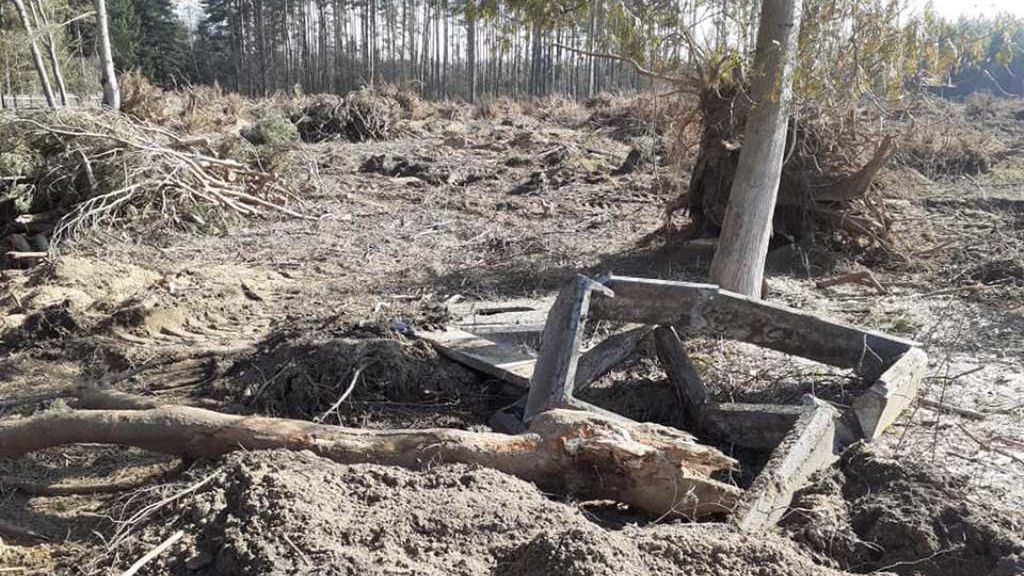 W wyniku wycinki drzew zniszczony został zabytkowy cmentarz