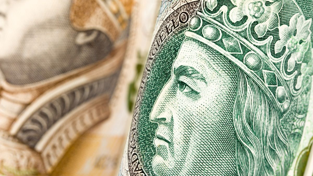 PLN, banknoty, biznes, gotówka, nagroda, plik, polskie, premia, waluta, wynagrodzenie, pieniądze